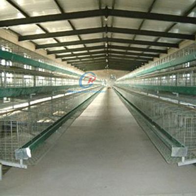 Structure en acier galvanisé maison de volaille personnalisée avec panneaux isolants