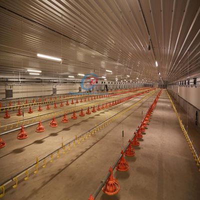 Construction de bâtiments en acier économique