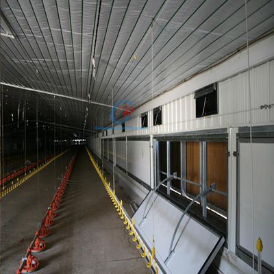 Ferme de volaille Constructions en acier, Q235 Q345 Constructions en acier pour le bétail