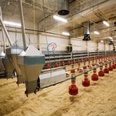 Structure en acier préfabriqué Poule maison personnalisée en acier