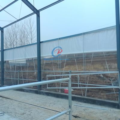 Construction d' un hangar métallique en acier, préfabriqué pour une ferme laitière.