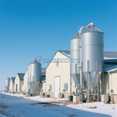 Steel Metal Frame Prefabricated Steel Structure Chicken Farm Poultry House