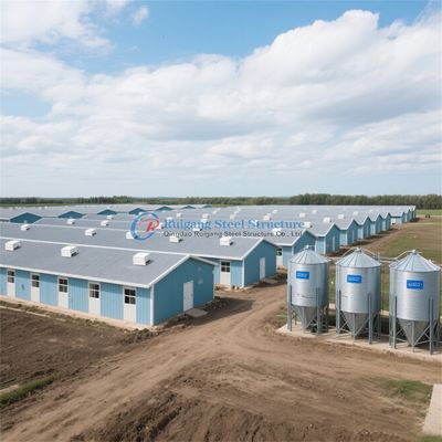 Metal Steel Structure Frame Broiler Farm/Poultry House/Broiler House/Chicken House 