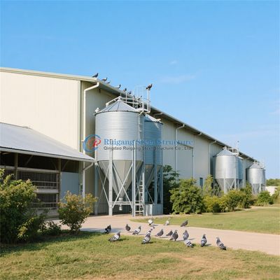 Structure en acier personnalisée maison de volaille résistant au feu pour la ferme laitière